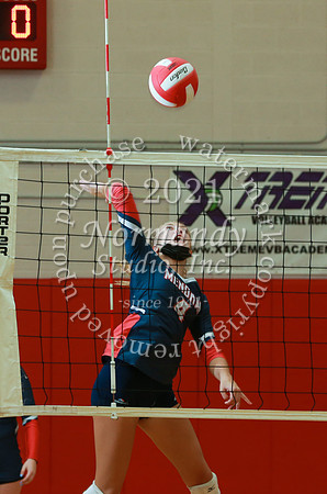 WMM_49_vb-g