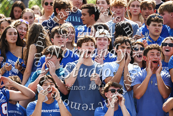 WHS_fans_17