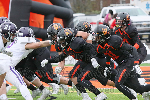 SVL_037_fb