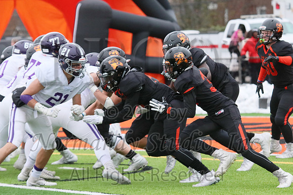 SVL_038_fb