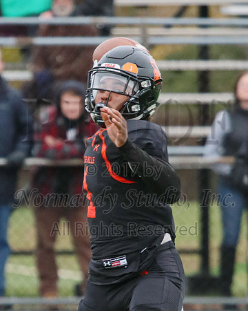 SVL_059_fb