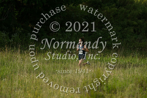 WMC_15_cc-b