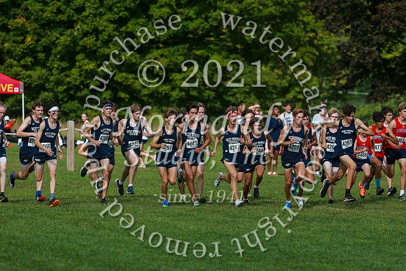 WMC_55_cc-b