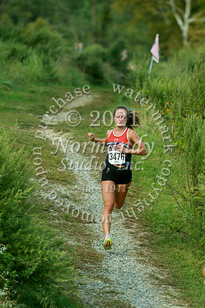 WMM_38_cc-g