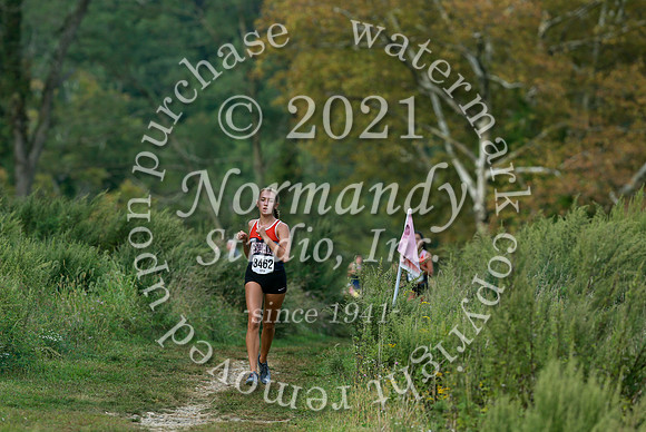 WMM_41_cc-g