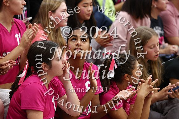WHS_vb-pink out_74