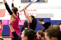 WHS_vb-pink out_14