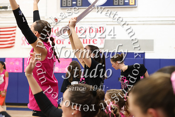 WHS_vb-pink out_14