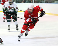 ICE HOCKEY