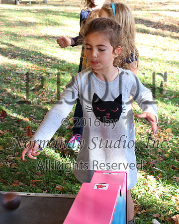 MNP_006_bbq
