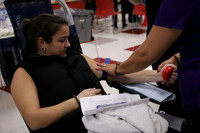 BER_blood drive_slc_12