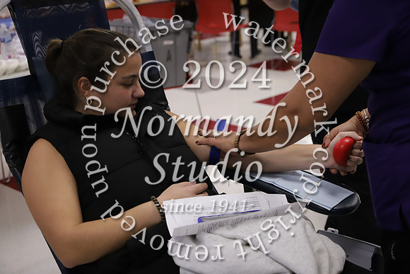 BER_blood drive_slc_12