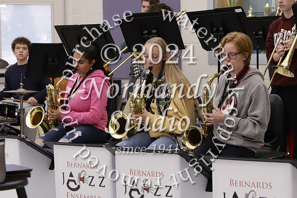 BER_blood drive_slc_53