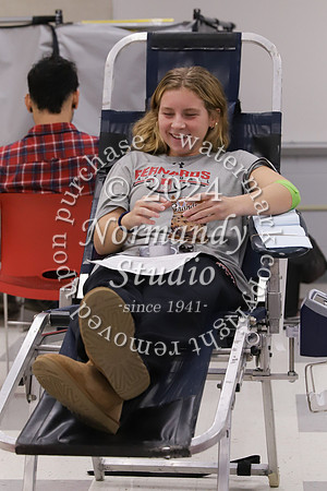 BER_blood drive_slc_80