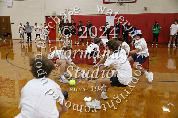 BER_dodgeball_13