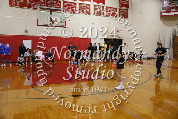 BER_dodgeball_11