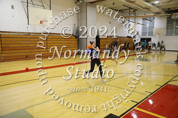 BER_dodgeball_18