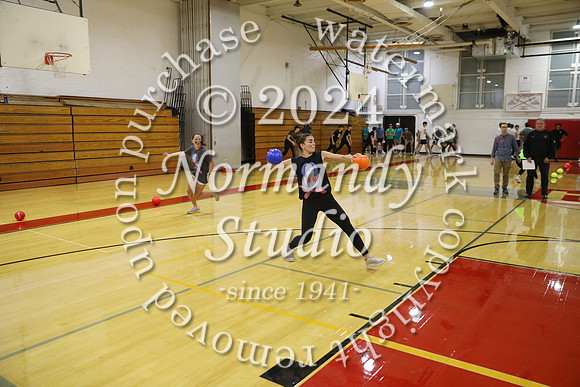 BER_dodgeball_19