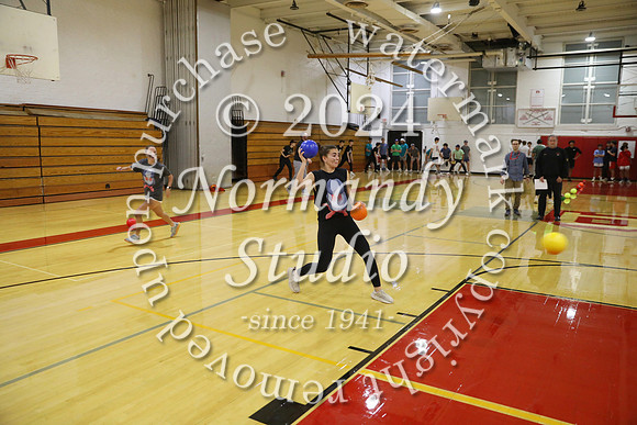 BER_dodgeball_20
