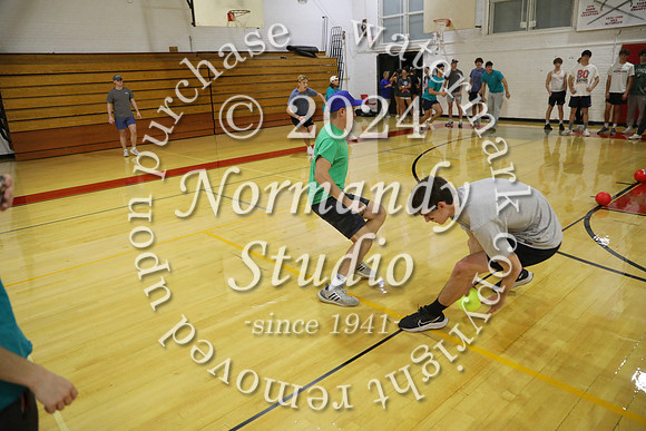 BER_dodgeball_22