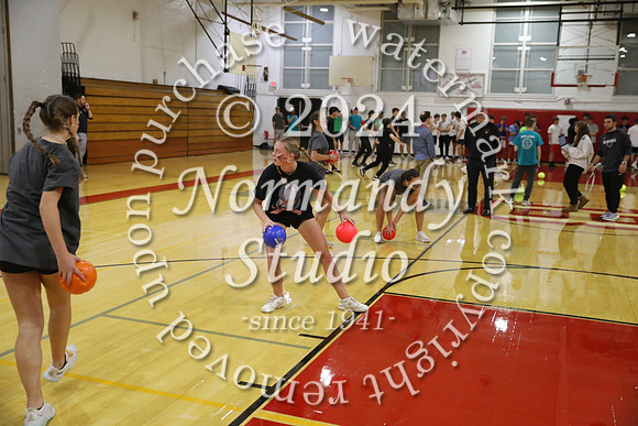 BER_dodgeball_21