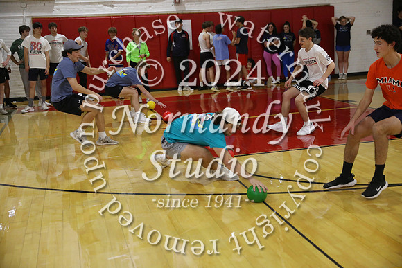 BER_dodgeball_23