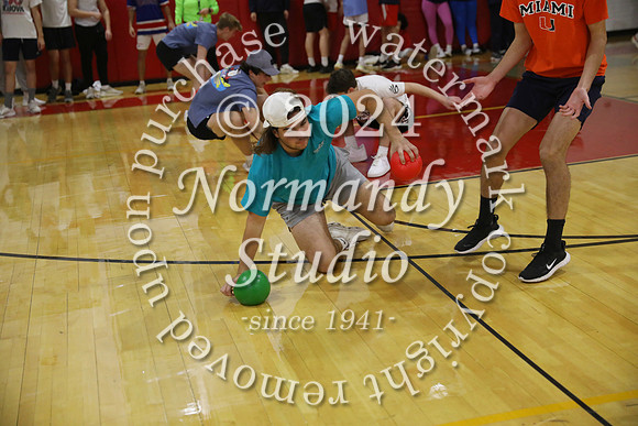 BER_dodgeball_24