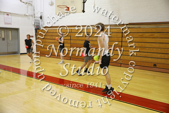 BER_dodgeball_25