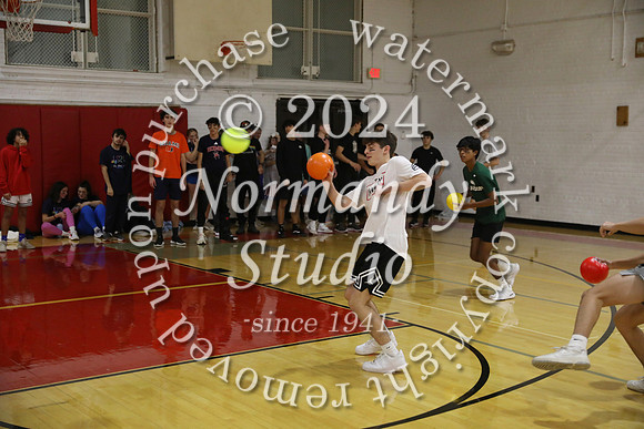 BER_dodgeball_28