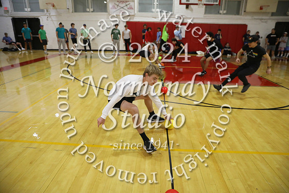 BER_dodgeball_30