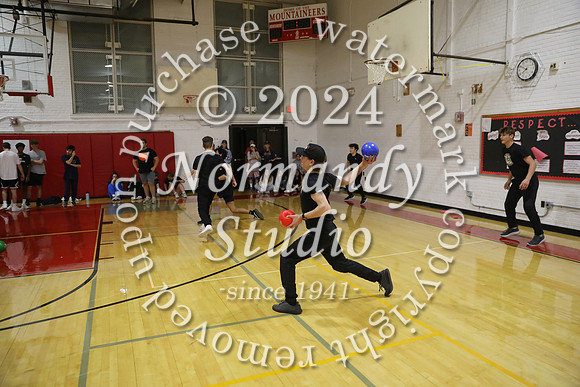 BER_dodgeball_32