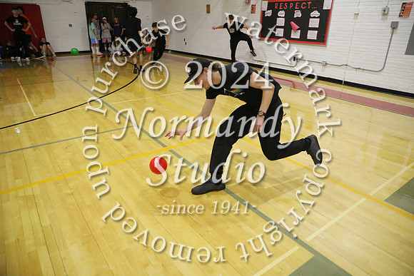 BER_dodgeball_35