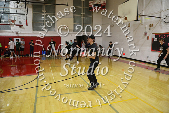 BER_dodgeball_34
