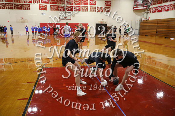 BER_dodgeball_40
