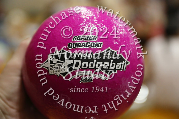 BER_dodgeball_42