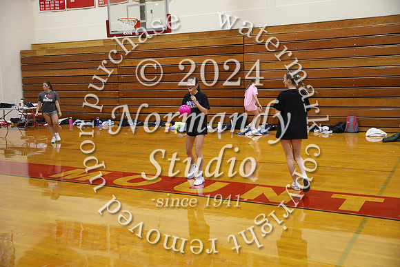 BER_dodgeball_45