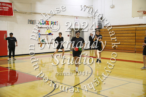 BER_dodgeball_46