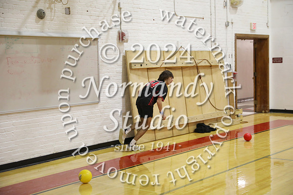 BER_dodgeball_48