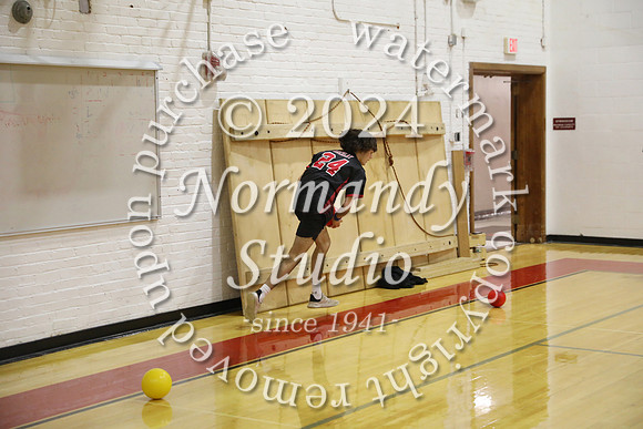 BER_dodgeball_49