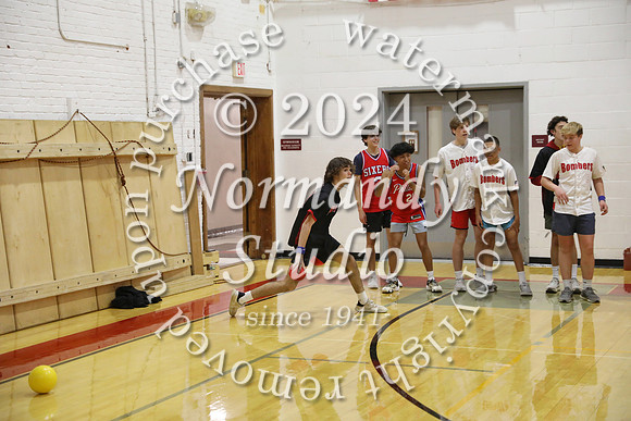 BER_dodgeball_50
