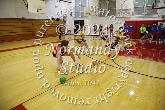 BER_dodgeball_60