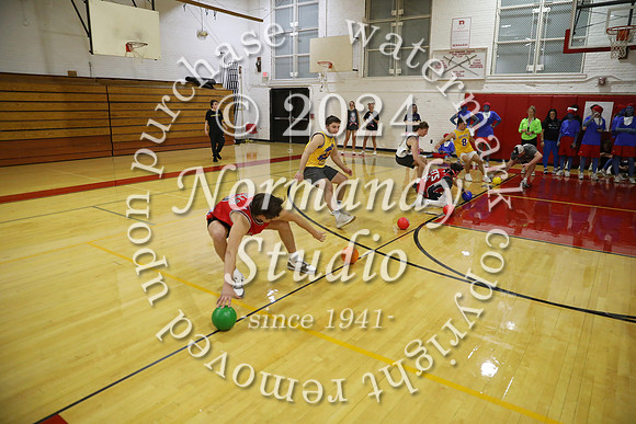 BER_dodgeball_61