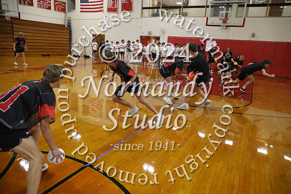 BER_dodgeball_04