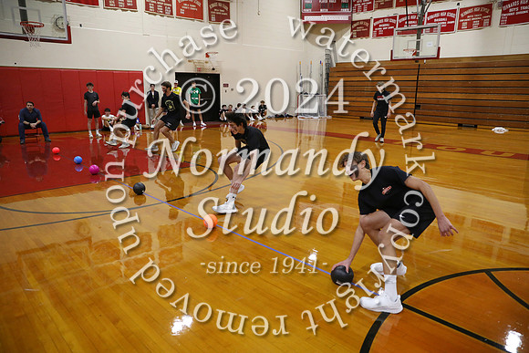 BER_dodgeball_08