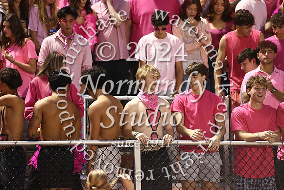 SVL_fans_09