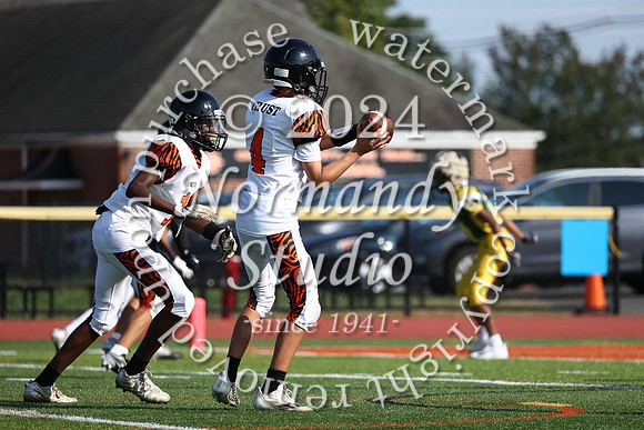 SVL_fb-f_35