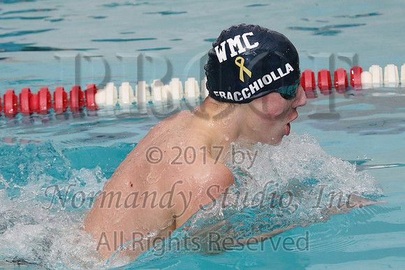 WMC_42_sw-b