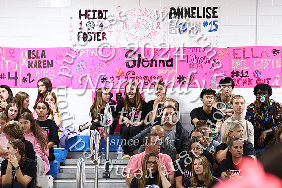 WHS_vb-pink out_36