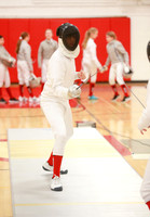 FENCING BOYS