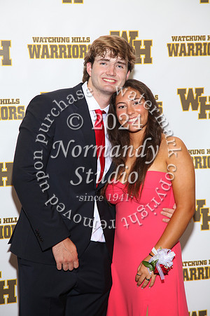 WTG_sr_prom_071